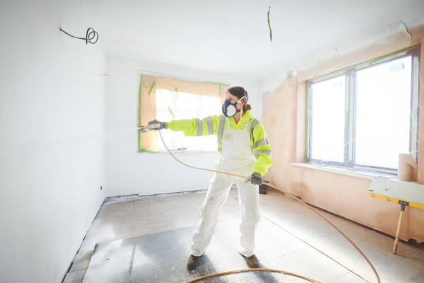 Reliable Webb City, MO Mold Removal Solutions