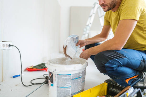 Best Industrial Mold Remediation  in Webb City, MO