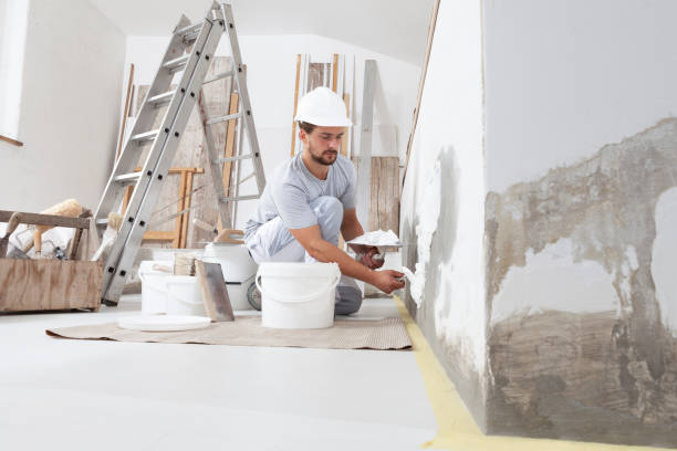Best Forensic Mold Investigation  in Webb City, MO
