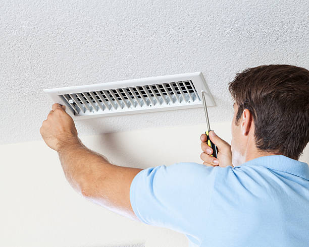 Environmental Consulting for Mold Prevention in Webb City, MO