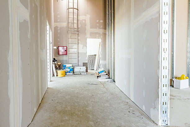 Mold Remediation for Vacation Homes in Webb City, MO