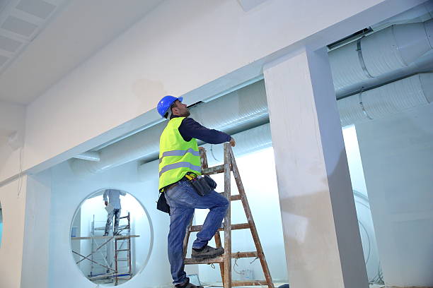Best Environmental Consulting for Mold Prevention  in Webb City, MO